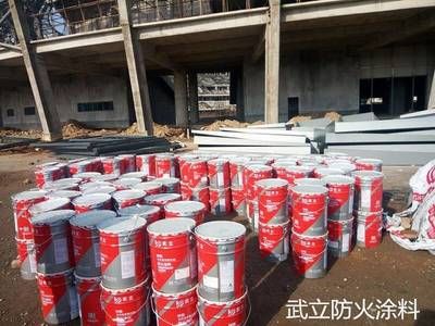 鋼結構做防火涂料包清工多少錢一平方（鋼結構防火涂料包清工價格） 建筑效果圖設計 第5張