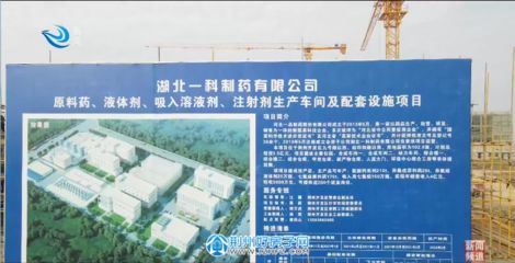 河北加固有限公司（建筑結構抗震技術解析，河北加固公司客戶評價）